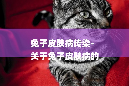 兔子皮膚病傳染-
關于兔子皮膚病的