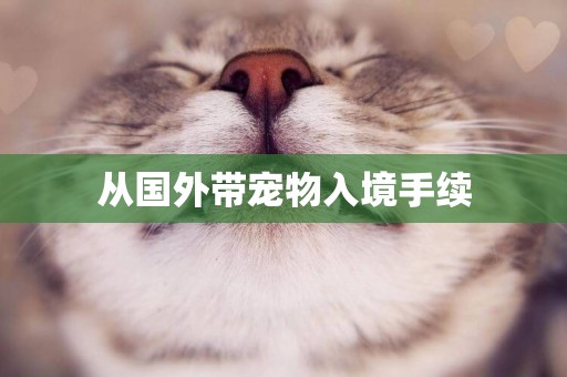 從國外帶寵物入境手續