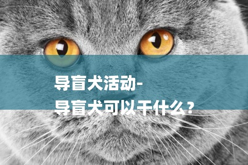 導盲犬活動-
導盲犬可以干什么？