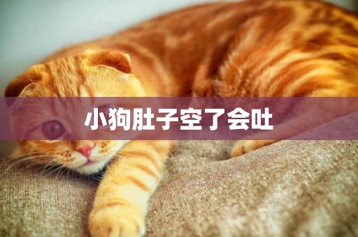 小狗肚子空了會吐