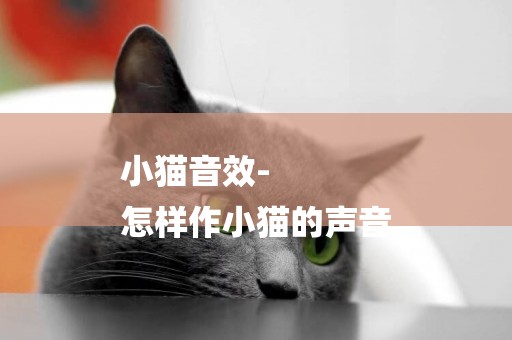 小貓音效-
怎樣作小貓的聲音