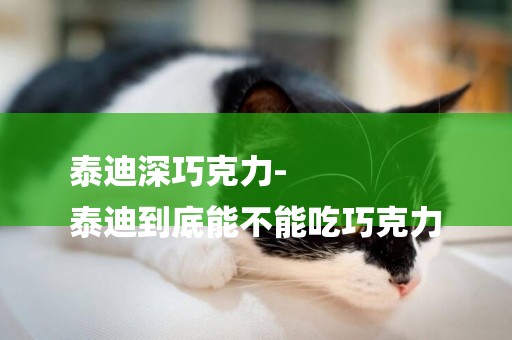 泰迪深巧克力-
泰迪到底能不能吃巧克力