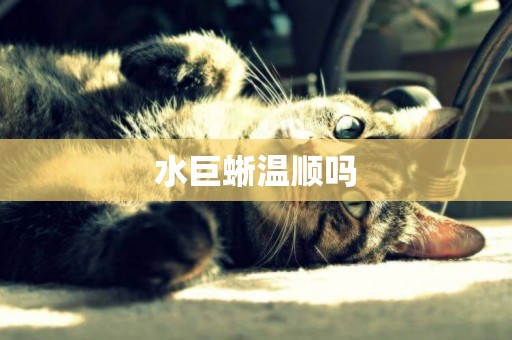 水巨蜥溫順嗎