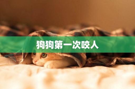 狗狗第一次咬人