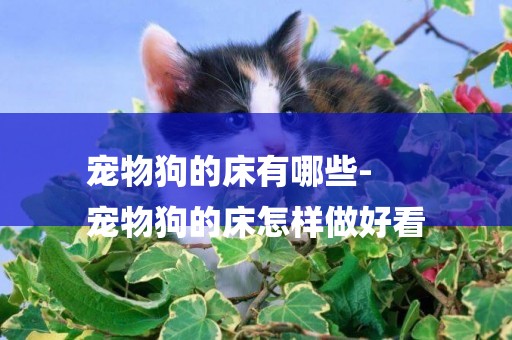 寵物狗的床有哪些-
寵物狗的床怎樣做好看