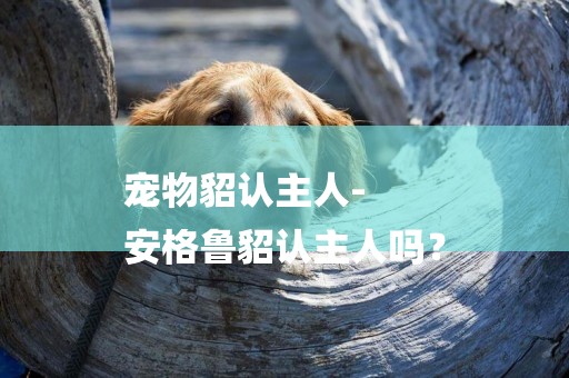 寵物貂認主人-
安格魯貂認主人嗎？