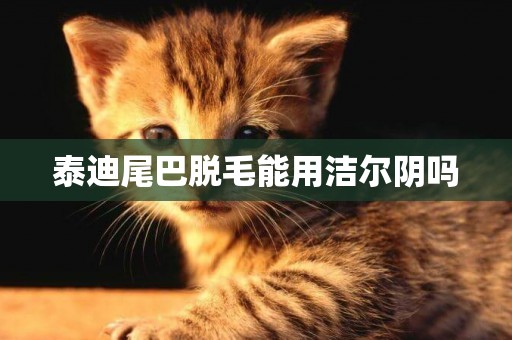 泰迪尾巴脫毛能用潔爾陰嗎