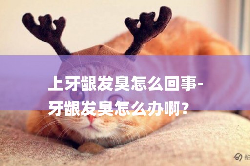 上牙齦發臭怎么回事-
牙齦發臭怎么辦啊？