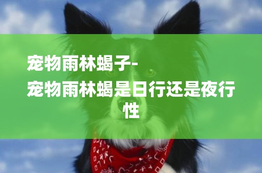 寵物雨林蝎子-
寵物雨林蝎是日行還是夜行性