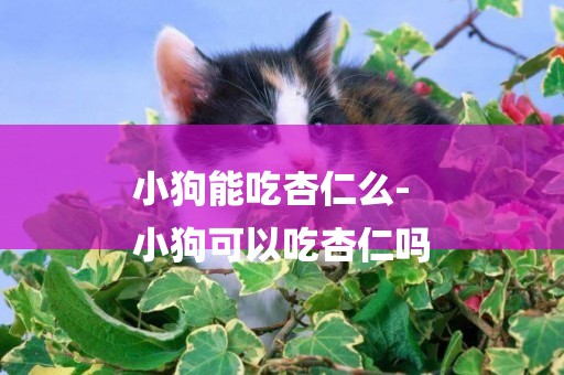 小狗能吃杏仁么-
小狗可以吃杏仁嗎