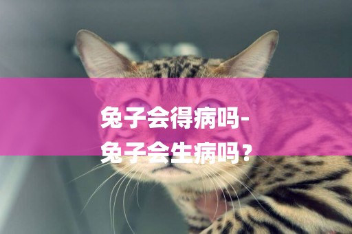 兔子會得病嗎-
兔子會生病嗎？
