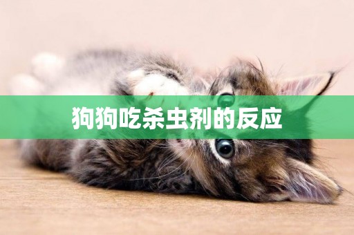 狗狗吃殺蟲劑的反應