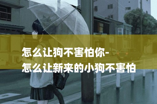 怎么讓狗不害怕你-
怎么讓新來的小狗不害怕