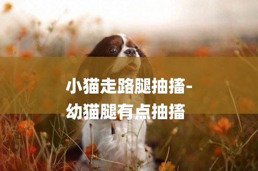 小貓走路腿抽搐-
幼貓腿有點抽搐