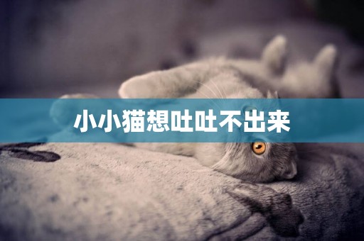 小小貓想吐吐不出來