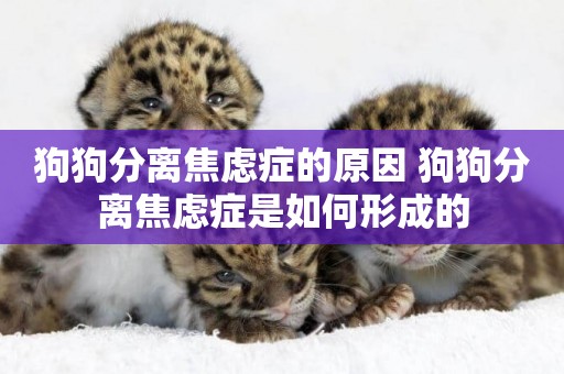 狗狗分離焦慮癥的原因 狗狗分離焦慮癥是如何形成的