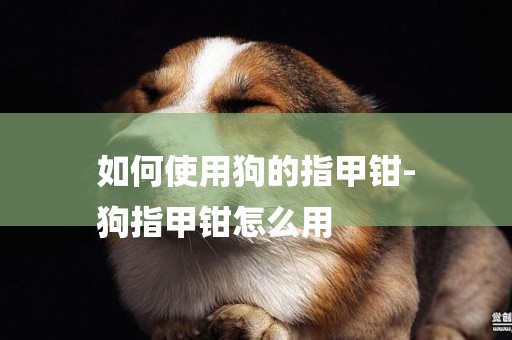 如何使用狗的指甲鉗-
狗指甲鉗怎么用