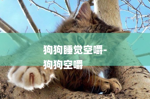 狗狗睡覺空嚼-
狗狗空嚼