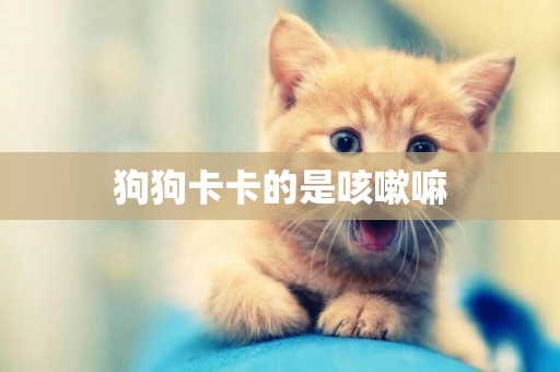 狗狗卡卡的是咳嗽嘛