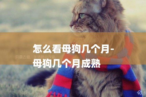 怎么看母狗幾個月-
母狗幾個月成熟