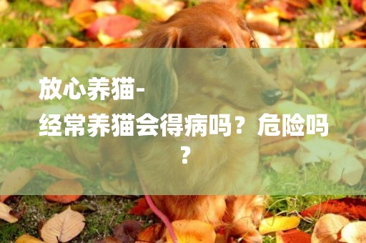 放心養貓-
經常養貓會得病嗎？危險嗎？