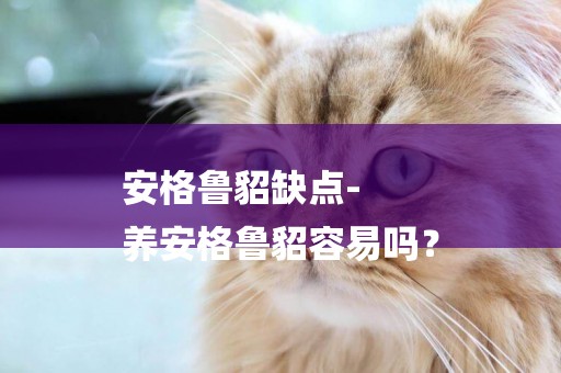 安格魯貂缺點-
養安格魯貂容易嗎？