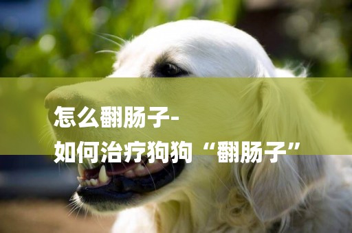 怎么翻腸子-
如何治療狗狗“翻腸子”
