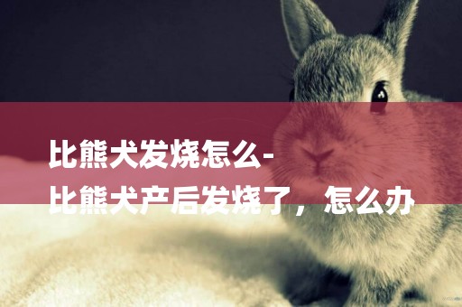比熊犬發燒怎么-
比熊犬產后發燒了，怎么辦
