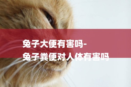 兔子大便有害嗎-
兔子糞便對人體有害嗎