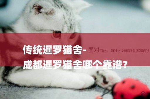 傳統暹羅貓舍-
成都暹羅貓舍哪個靠譜？