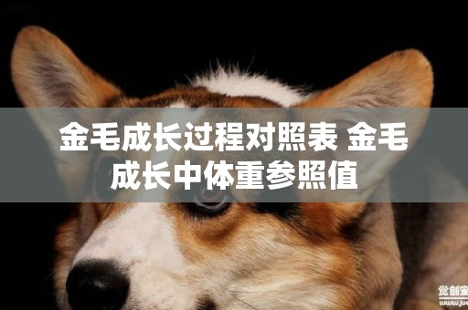 金毛成長過程對照表 金毛成長中體重參照值