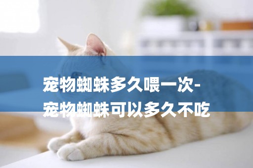 寵物蜘蛛多久喂一次-
寵物蜘蛛可以多久不吃