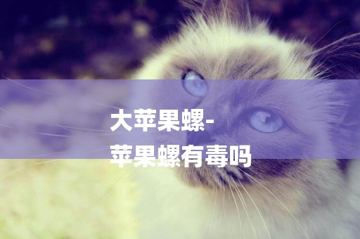 大蘋果螺-
蘋果螺有毒嗎