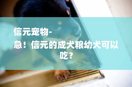 信元寵物-
急！信元的成犬糧幼犬可以吃？