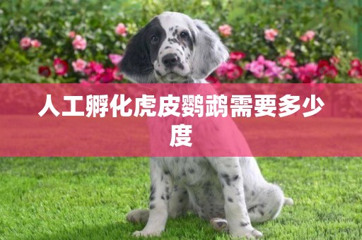 人工孵化虎皮鸚鵡需要多少度