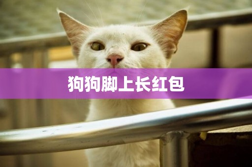 狗狗腳上長紅包