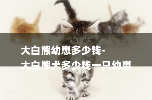 大白熊幼崽多少錢-
大白熊犬多少錢一只幼崽