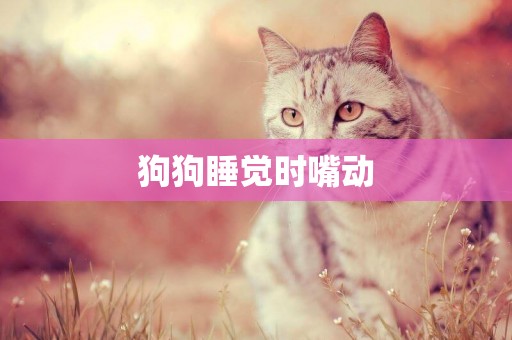 狗狗睡覺時嘴動