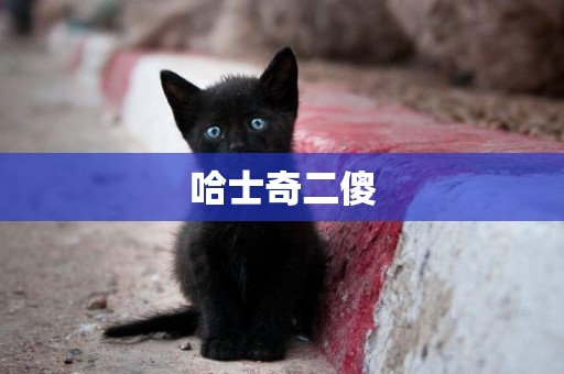哈士奇二傻