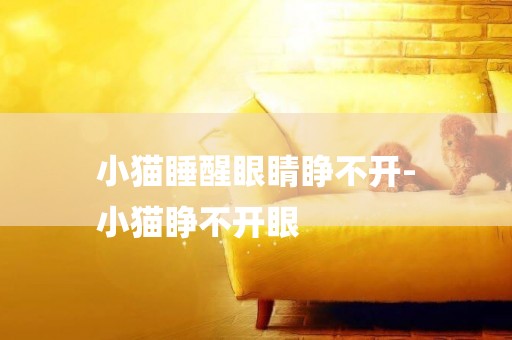 小貓睡醒眼睛睜不開-
小貓睜不開眼
