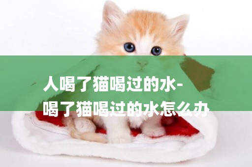 人喝了貓喝過的水-
喝了貓喝過的水怎么辦
