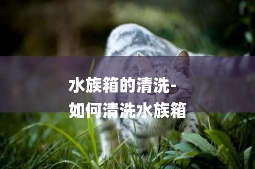 水族箱的清洗-
如何清洗水族箱