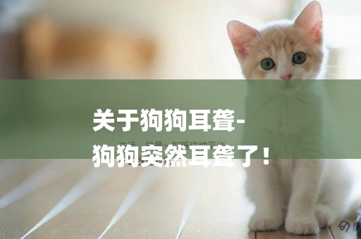 關于狗狗耳聾-
狗狗突然耳聾了！