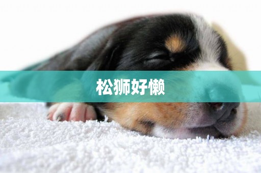 松獅好懶