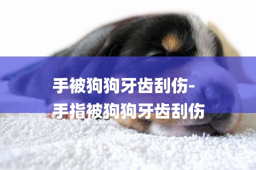 手被狗狗牙齒刮傷-
手指被狗狗牙齒刮傷