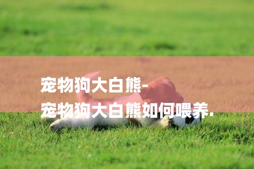 寵物狗大白熊-
寵物狗大白熊如何喂養.