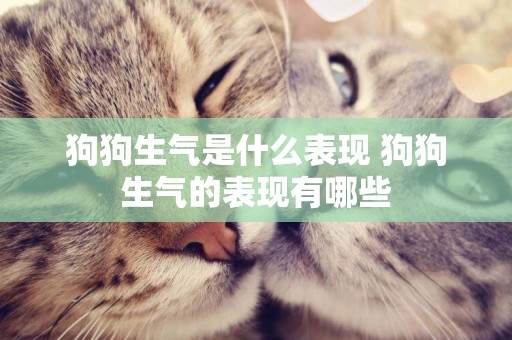 狗狗生氣是什么表現 狗狗生氣的表現有哪些