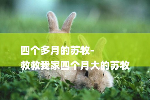 四個多月的蘇牧-
救救我家四個月大的蘇牧