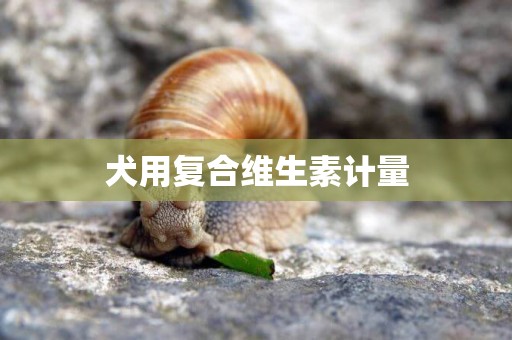 犬用復合維生素計量