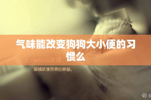 氣味能改變狗狗大小便的習慣么